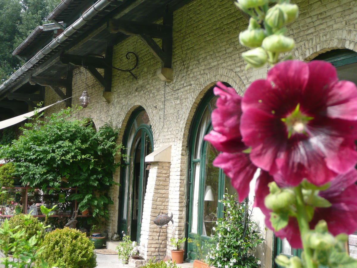 Manoir De Bois En Ardres Exterior photo