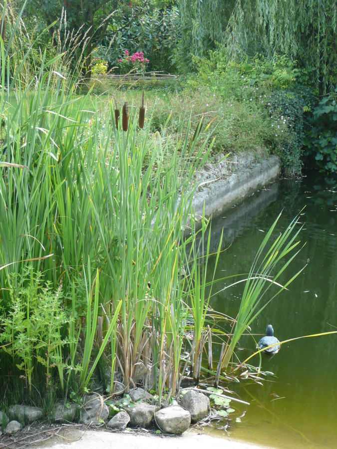 Manoir De Bois En Ardres Exterior photo